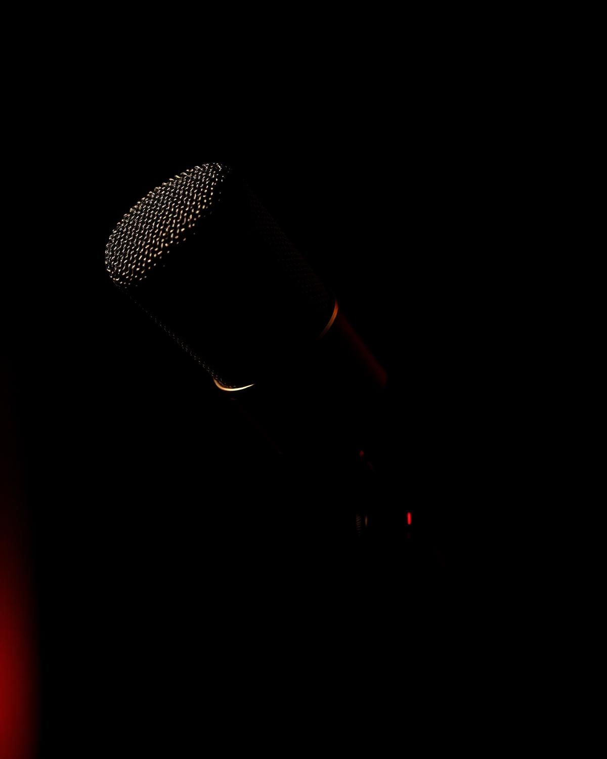 Professional condenser microphone